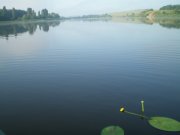 P6102785 [].JPG