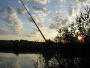 IMG_1795.JPG