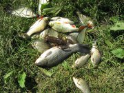 IMG_1802.JPG