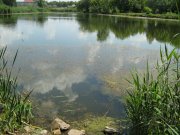 IMG_1809.JPG
