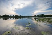 IMG_9574.jpg