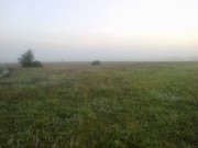 09062013417.jpg