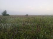 09062013418.jpg