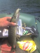 08-06-13_1207.jpg