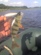 08-06-13_1710.jpg