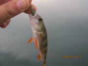 IMG_0603.JPG