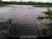 IMG_20130613_065747.jpg