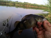 IMG_20130613_081741.jpg