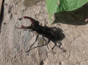 DSCF5815.JPG