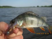 IMG_0619.JPG