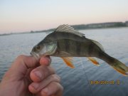 IMG_0628.JPG