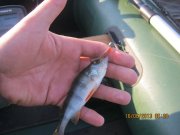 IMG_0630.JPG