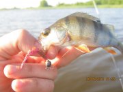 IMG_0632.JPG