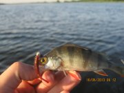 IMG_0629.JPG