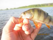 IMG_0631.JPG