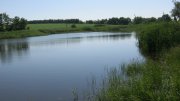 IMG_1660.jpg