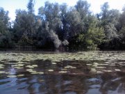 IMAGE00017.jpg