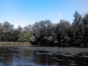 IMAGE00018.jpg