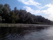 IMAGE00019.jpg