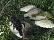 IMG_1829.JPG