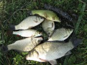 IMG_1830.JPG