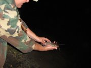 IMG_1848.JPG