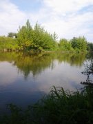 Фото3834.jpg