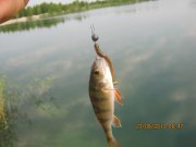 IMG_0639.JPG