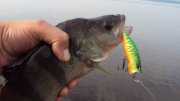 DSC05435.JPG