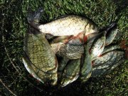 IMG_1866.JPG