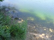 DSC01215.JPG