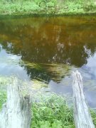 DSC02206.JPG