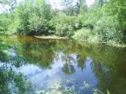 DSC02209.JPG