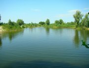 IMG_20130625_102142.jpg