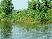 IMG_20130625_102239.jpg