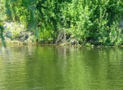 IMG_20130625_102402.jpg