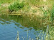 IMG_20130625_102518.jpg
