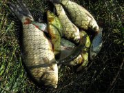 IMG_1878.JPG