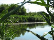 IMG_1881.JPG