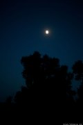 IMG_9145.jpg