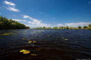 IMG_9197.jpg