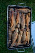 IMG_9201.jpg