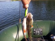 IMG_2013062558860.jpg