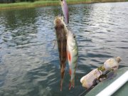 IMG_2013062515221.jpg