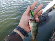 IMG_201306255091.jpg