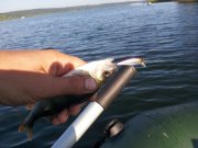 IMG_2013062527663.jpg