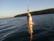 IMG_2013062553631.jpg