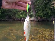IMG_2013062512999.jpg