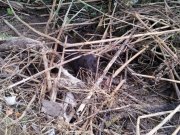 IMG_2013062559707.jpg