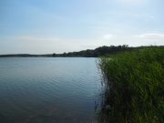 DSCN1529.JPG